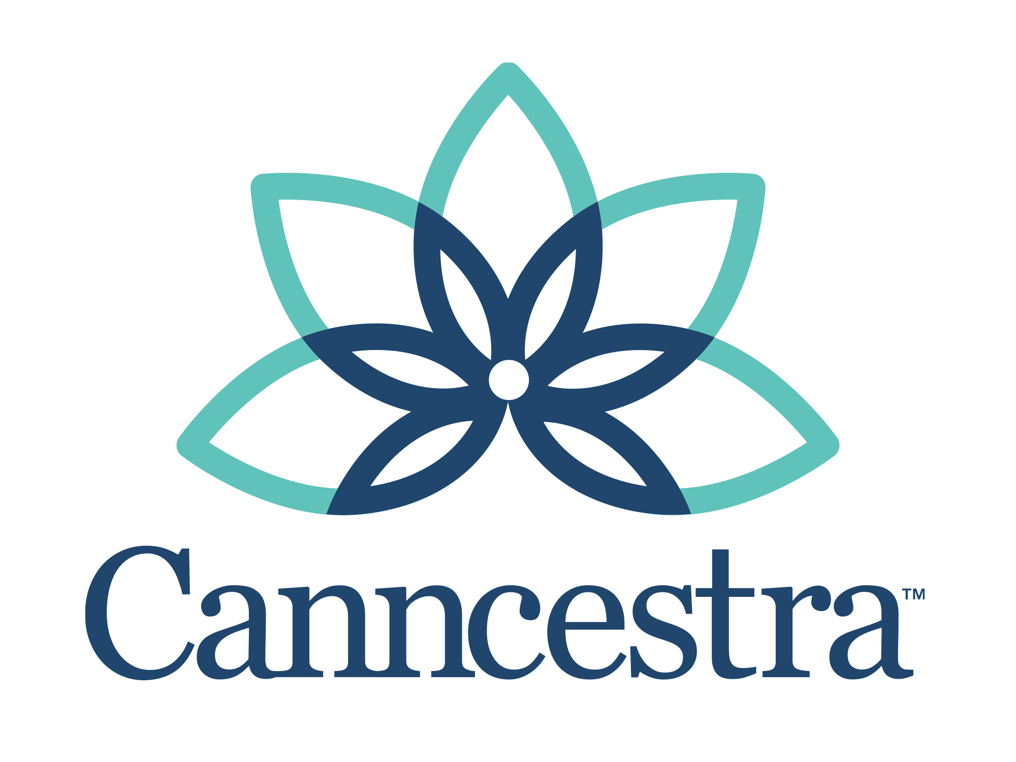 Canncestra primary logo — teal and navy botanical mark with wordmark